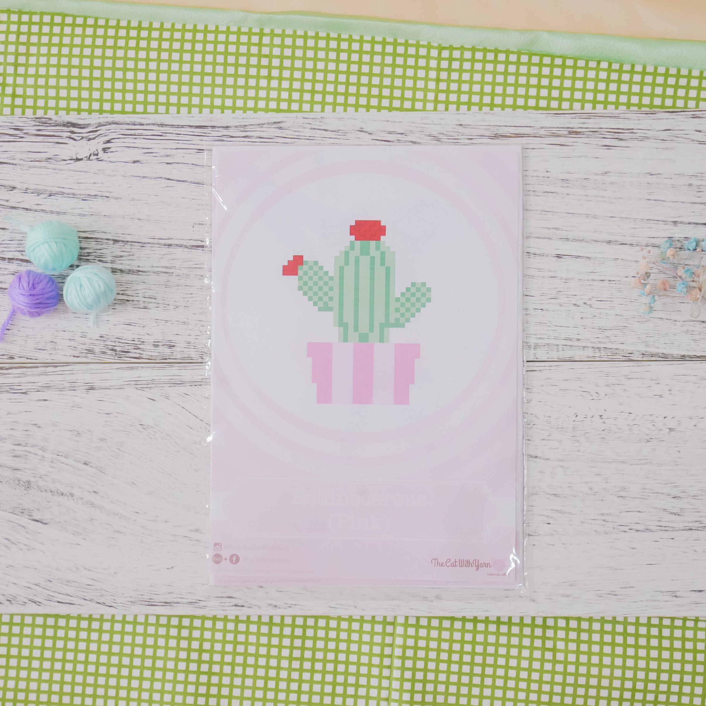 Echinocereus Cactus - Cross Stitch Kit