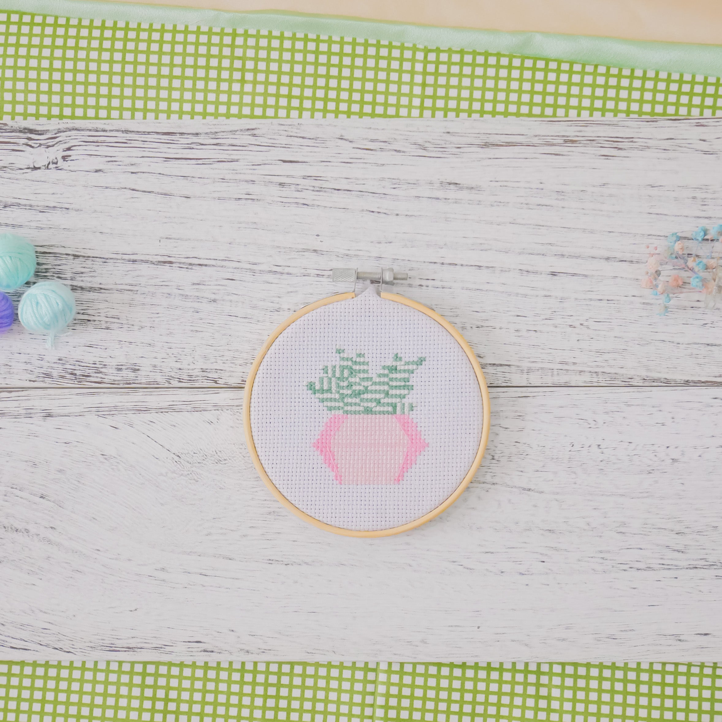 Zebra Succulent Cactus (Pink) - Cross Stitch Kit