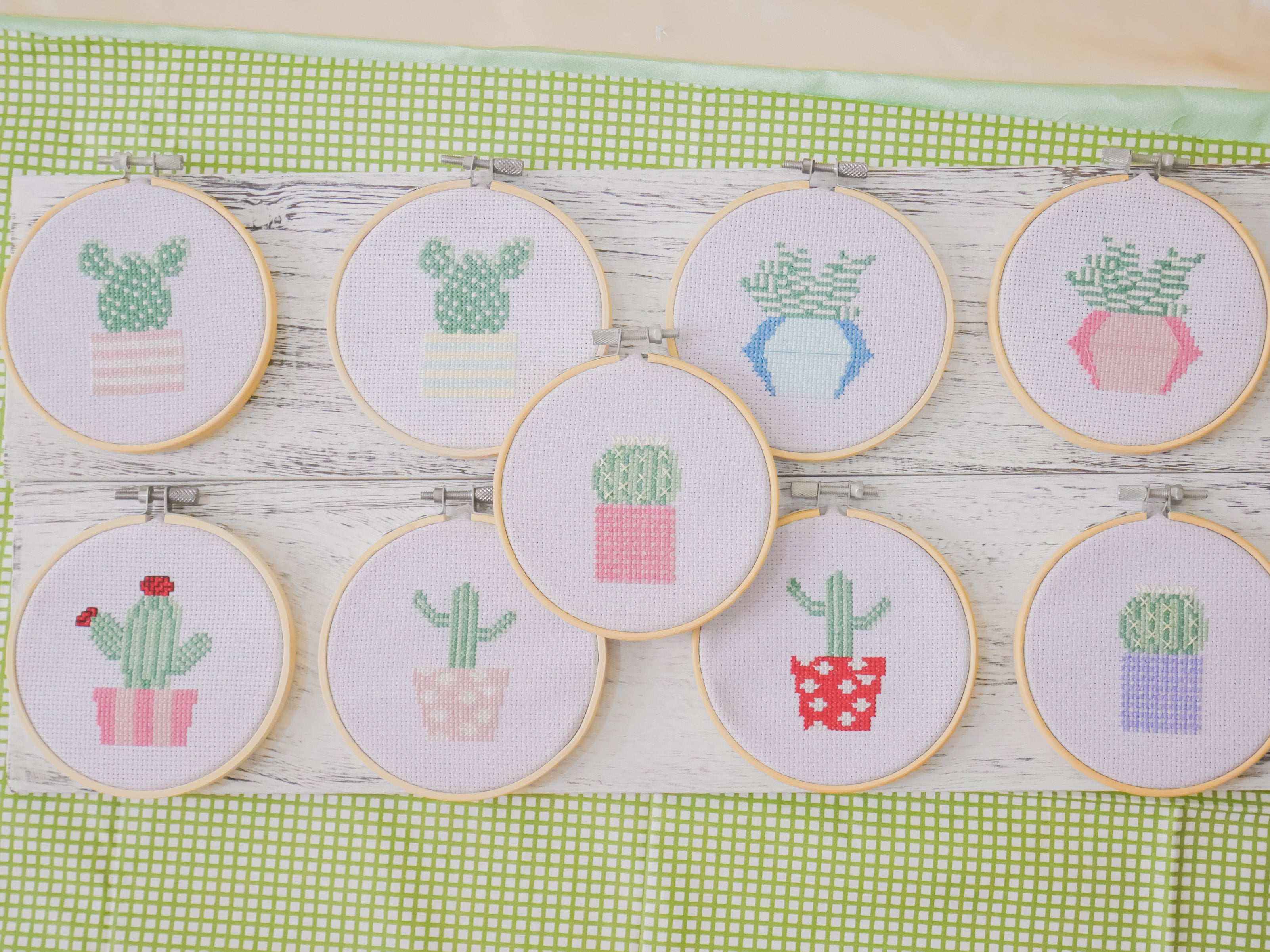 Echinocereus Cactus - Cross Stitch Kit