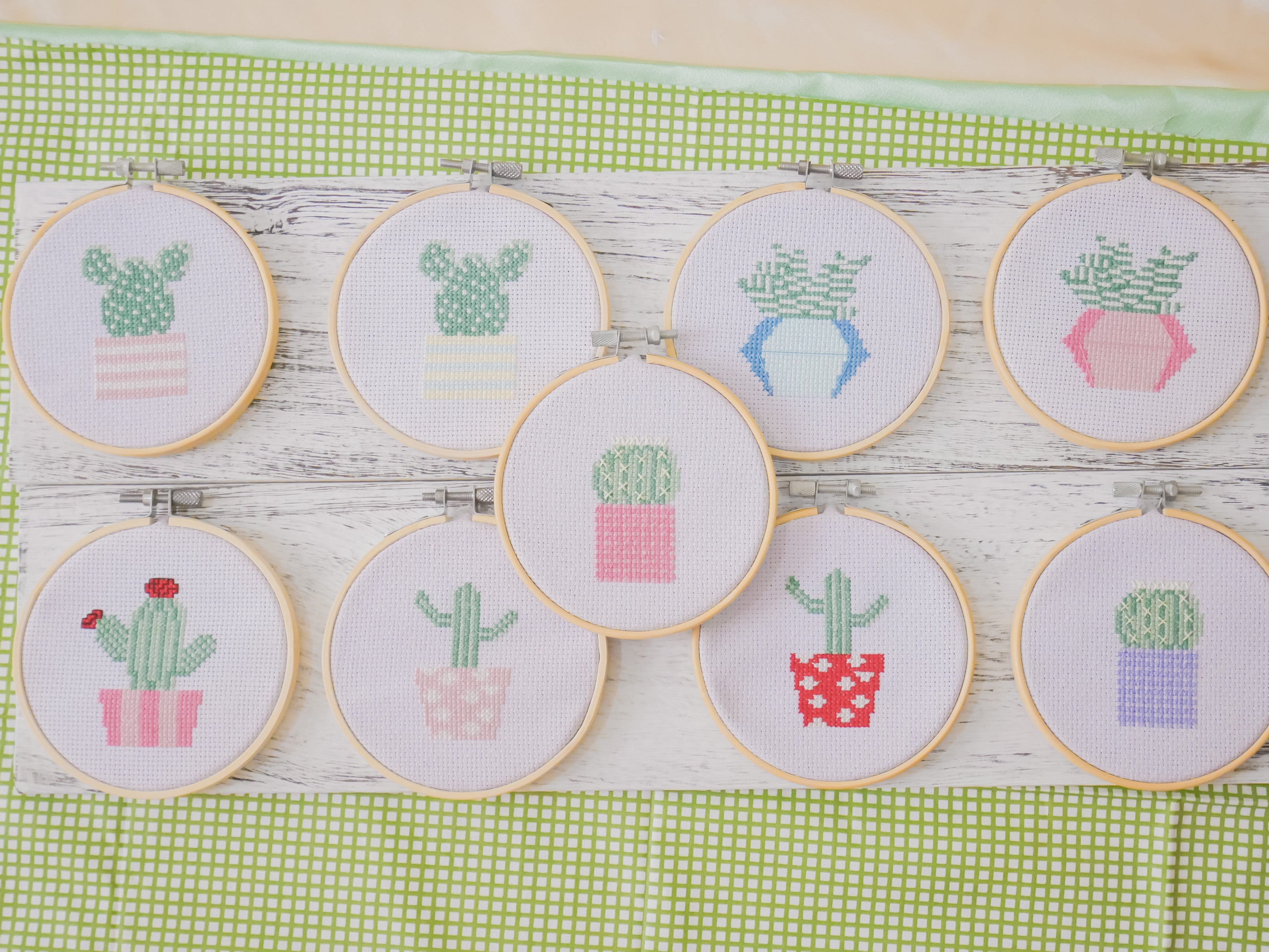 Zebra Succulent Cactus (Pink) - Cross Stitch Kit
